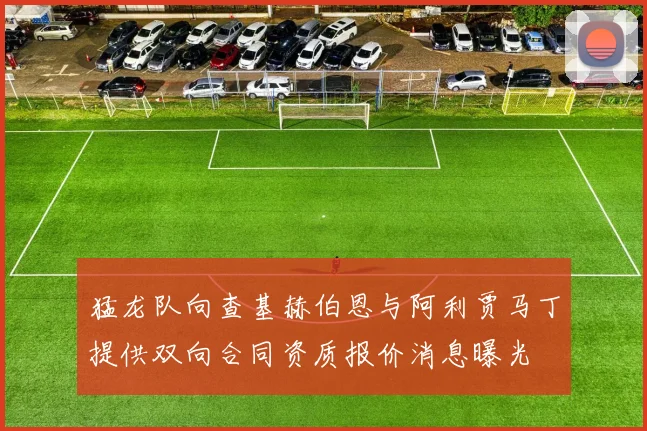 猛龙队向查基赫伯恩与阿利贾马丁提供双向合同资质报价消息曝光
