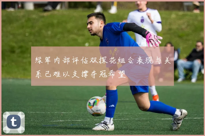 绿军内部评估双探花组合表现与关系已难以支撑夺冠希望